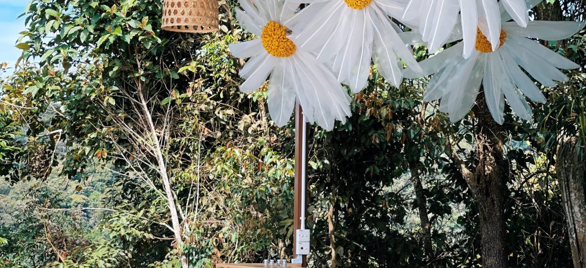 Processed with VSCO with g6 preset